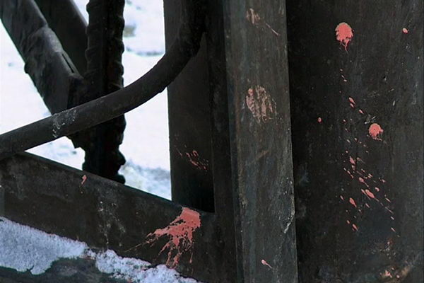 Из-за телефона?